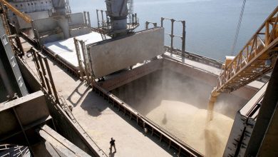 Фото - МО Турции сообщило о выходе еще 12 сухогрузов с сельхозпродукцией в рамках зерновой сделки