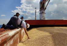 Фото - Координатор ООН по зерновой сделке заявил, что суда с зерном не могут быть военной целью