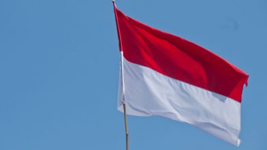 Фото - Президент Индонезии Видодо призвал активнее финансировать фонд для борьбы с пандемиями